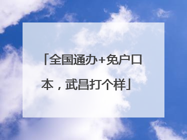全国通办+免户口本，武昌打个样